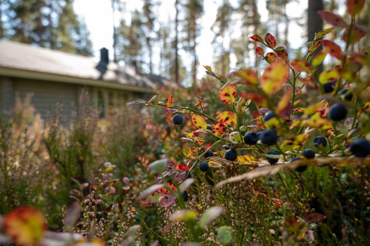 Villa Saimaan Kultaranta à Puumala Extérieur photo